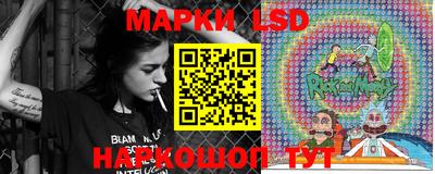 спиды Камышлов