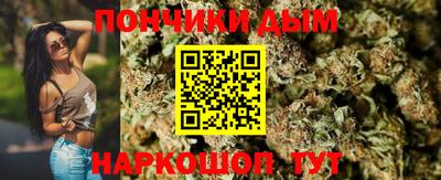 спиды Камышлов