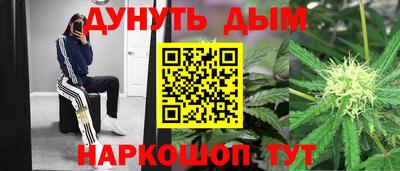 спиды Камышлов